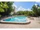 Inviting community pool with lounge chairs and patio area at 2511 Dolly Bay Dr # 308, Palm Harbor, FL 34684