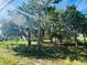 Spacious backyard with mature trees and a shed at 2013 Finland Dr, Spring Hill, FL 34609