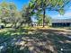 Large backyard with a shed and mature trees at 2013 Finland Dr, Spring Hill, FL 34609