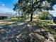 Empty side yard with mature trees and grass at 2013 Finland Dr, Spring Hill, FL 34609