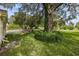Large backyard with a swimming pool, lush lawn, and mature trees at 12709 Clock Tower Pkwy, Hudson, FL 34667