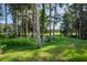 Spacious backyard with lush greenery and mature trees at 3275 Lori Ln # 5, New Port Richey, FL 34655