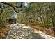 Long concrete driveway leading to a home nestled amongst lush trees at 11193 Baltimore St, Weeki Wachee, FL 34614