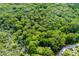 Aerial lot view, showcasing dense green foliage at 7413 Gettysburg Dr, Weeki Wachee, FL 34607