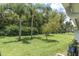 Landscaped backyard with lush grass and palm trees at 11937 Bayonet Ln, New Port Richey, FL 34654