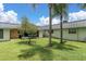 Neatly landscaped backyard with palm trees and a view of neighboring homes at 11937 Bayonet Ln, New Port Richey, FL 34654