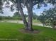 Peaceful backyard with mature trees and pond views at 7278 Scotland Cir, Weeki Wachee, FL 34613