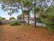 Large backyard with mature trees and wooden fence at 3124 Lecanto St, Holiday, FL 34691