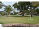 Landscaped front yard with palm trees and a walkway at 377 Knights Bridge Rd, Spring Hill, FL 34609