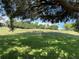Spacious backyard with grassy area and tree shade at 9108 Bassett Ln # B, New Port Richey, FL 34655