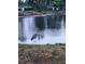 Backyard featuring a great blue heron at the edge of the lake at 12307 Fieldstone Ln, Hudson, FL 34667