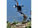 Backyard with a view of a bird standing on a tree branch on the lake at 12307 Fieldstone Ln, Hudson, FL 34667