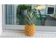 Charming interior shot showcasing a fresh pineapple and view of the screened in porch at 12307 Fieldstone Ln, Hudson, FL 34667