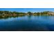 Serene lake with fountain in community setting at 2522 Pine Ridge S Way # A2, Palm Harbor, FL 34684