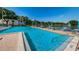 Resort-style pool with patio furniture and lake view at 2522 Pine Ridge S Way # A2, Palm Harbor, FL 34684