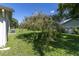Backyard with mature tree and grassy area at 4750 Carrington Ct, New Port Richey, FL 34655