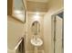 Small half-bathroom with pedestal sink and oval mirror at 31941 Blue Passing Loop, Wesley Chapel, FL 33545