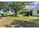 Spacious backyard with large tree and grassy area at 1085 Barlow Ct, Spring Hill, FL 34606