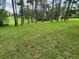 Expansive grassy backyard bordered by a line of trees at 11033 Baywind Ct, Weeki Wachee, FL 34613