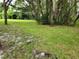 Spacious backyard with lush green grass and mature trees at 11033 Baywind Ct, Weeki Wachee, FL 34613