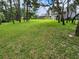 Large backyard perfect for outdoor activities, featuring a grassy area and trees at 11033 Baywind Ct, Weeki Wachee, FL 34613