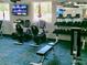 Community fitness center with cardio and weight training equipment at 12200 Putter Green Ct, New Port Richey, FL 34654