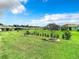 Landscaped backyard with lush lawn and trees at 19492 Fort King Run, Brooksville, FL 34601