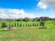 Community backyard view with manicured lawn at 19492 Fort King Run, Brooksville, FL 34601