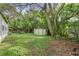 Overgrown backyard with various sheds and mature trees at 9520 Merton St, New Port Richey, FL 34654