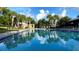 Community swimming pool offering a refreshing escape with palm tree views at 3893 Burdick Loop, Odessa, FL 33556
