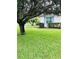 Landscaped side yard with a large tree and manicured lawn at 8141 Bugle Ct # 1, Port Richey, FL 34668