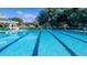 Inviting community pool with ample lounge chairs and shaded seating at 4309 Hunters Pass, Spring Hill, FL 34609