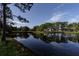 Tranquil pond reflecting the lush greenery and blue sky of the park at 6642 Stewart N Ave, St Petersburg, FL 33702