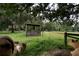 Goat enclosure next to a wooden shelter at 23337 Lake Lindsey Rd, Brooksville, FL 34601
