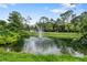 Charming pond with fountain and lush landscaping at 303 Old Mill Pond Rd # 303, Palm Harbor, FL 34683