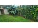 Backyard with grassy area and lush greenery at 3814 Holiday Lake Dr, Holiday, FL 34691
