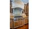 Upscale kitchen with professional gas range and custom hood at 9943 Milano Dr, Trinity, FL 34655
