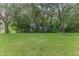 Large backyard with lush green grass and trees at 11158 Heathrow Ave, Spring Hill, FL 34609