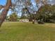 Large backyard with mature trees and shed at 9140 & 9130 Peony St, New Port Richey, FL 34654
