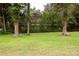 Backyard with green grass, trees, and a swing set at 24514 Audubon Dr, Brooksville, FL 34601