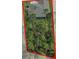 An aerial view showcases a roof and large trees at 3898 Southern Valley Loop, Brooksville, FL 34601