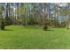 Expansive backyard featuring well-maintained lawn and mature trees, offering privacy at 3898 Southern Valley Loop, Brooksville, FL 34601
