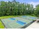 Expansive pickleball courts surrounded by trees at 4676 Hickory Oak Dr, Brooksville, FL 34601