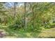 Private wooded area bordering the property at 3605 Kings Rd # 102, Palm Harbor, FL 34685