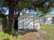 White storage shed in the backyard at 3809 Burden St, New Port Richey, FL 34652