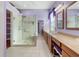 Primary bathroom with walk-in shower, double vanity and purple walls at 13931 Chandron Dr, Odessa, FL 33556