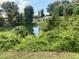 Peaceful pond view with lush green vegetation at 7745 Crosier Ct, New Port Richey, FL 34653