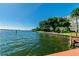 Scenic view of calm waters with lush landscaping and building in the background at 1847 Shore S Dr # 614, South Pasadena, FL 33707