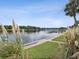 Scenic waterfront view with lush vegetation at 2424 W Tampa Bay Blvd # L-302, Tampa, FL 33607