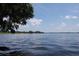 Serene lake view with lush trees and a clear sky at 41 Cypress Dr, Palm Harbor, FL 34684